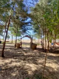 Cắm Trại Làng Digan, Meeto Camping Vũng Tàu - Ấp Mỹ An