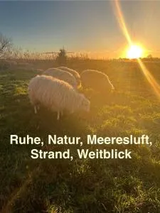 Marijanas Ferienhof 1, Urlaub mit viel Platz zwischen Dornumersiel und Bensersiel, gehört zum Café Kunterbunt - Middelsbur