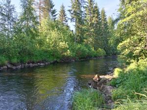 Pyrrön pirtti, koko talo