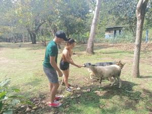 Cabaña Rincón de Curubandé