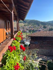 Guest House Roden Dom