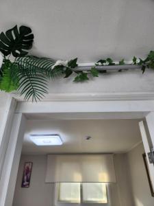 House of Gallery Hyomok