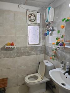 Homely stay in Noida