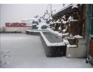 Amar Resorts, Chamba