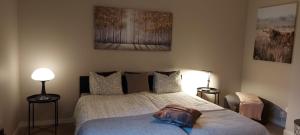 The Cloudberry Hostel