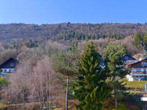 Appartements Entre lac et montagne : photos des chambres