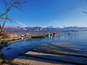 Appartements Entre lac et montagne : Appartement 1 Chambre