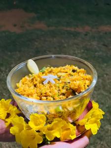 Aranya Stuga Pushkar