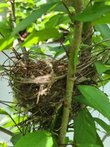 The Dream Garden Bungalow