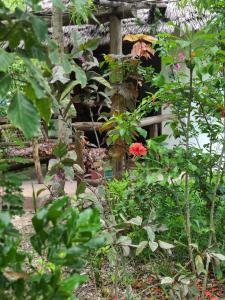 The Dream Garden Bungalow