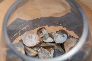 Welcome in - Onderaan de duinen, in het centrum - Langstraat 29 Zoutelande