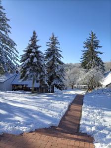 GLASHÜTTE Kisújbánya Vadászház