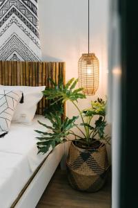 Old Quater Tropical House