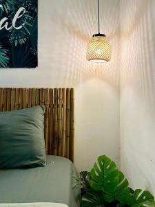 Old Quater Tropical House