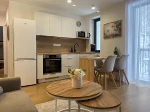 Apartmán Jurošík - 特尔乔夫