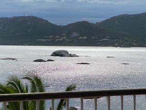 Appartements Les oliviers 11 Appartement, bord de mer, porto-vecchio : photos des chambres