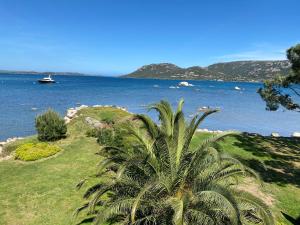 Appartements Les oliviers 11 Appartement, bord de mer, porto-vecchio : photos des chambres