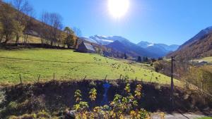 Maisons de vacances La Hoursonniere : photos des chambres