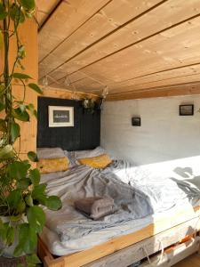 Sušárna v zahradě s vůní bylinek