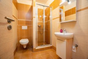 Quadruple Room with Private Bathroom room in Apartmány U Gigantu