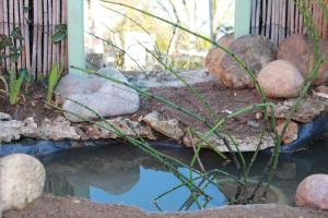 Maisons de vacances Gite Labradors De Bailly - Giverny : photos des chambres