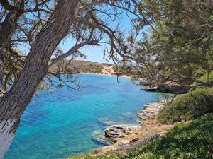 Niriis Sea View Apartments Pasithea & Psamathe Batsi