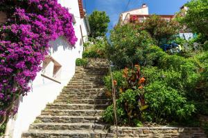 Appartements Appart 3 pieces 4 couchages BANYULS SUR MER BN500-002 : photos des chambres