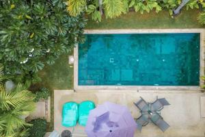 V91The Rich People Go Trichada Resort