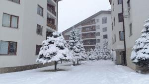 Studio Detelina Residence