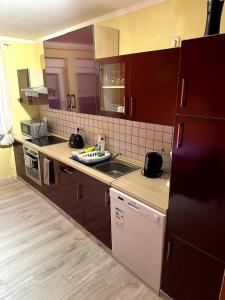 Large apartment for 3-11 guests in the Halle Leipzig Area