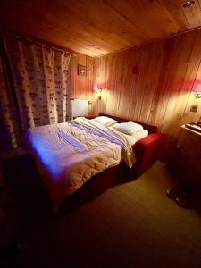 Pretty family nest in front of snow