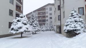 Apartment Detelina Residence