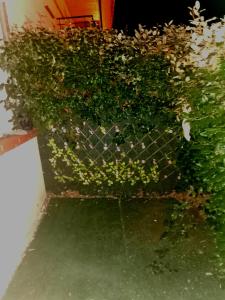 Appartements carre de detente JACUZZI JARDIN PISCINE T3 PARKING : photos des chambres