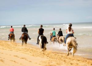 B&B / Chambres d'hotes La Belgerie : photos des chambres