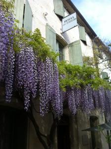 Hotels Hotel Les Templiers : photos des chambres