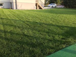 White House Izabelin Family SPA House near Warsaw