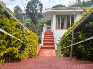 Earth songs by Green leaves - 10 kms from kotagiri