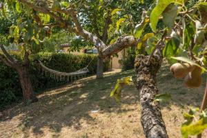 La Piccola Oasi by Great Stays