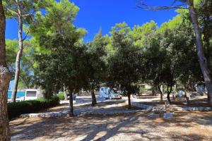 Camping Park Soline Pitches