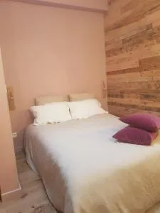 Chambre d'hôtes petite ruche - 布瓦乐洛伊