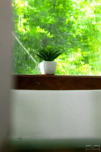 PLUSH Homes Hikkaduwa, 1 bedroom AC apartment