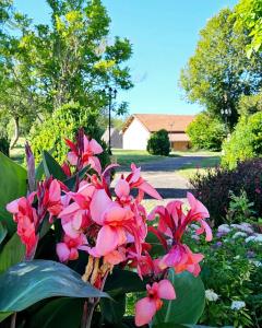 Hotels Domaine de La Rhonie : photos des chambres