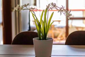 Bright House - Carozzi Apartments