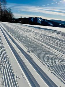 Stará Škola Mariánská