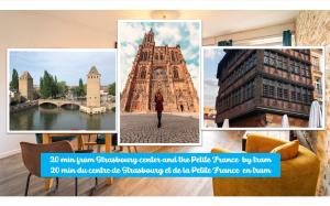 Appartements Cosy apartment on Strasbourg tramway line : photos des chambres