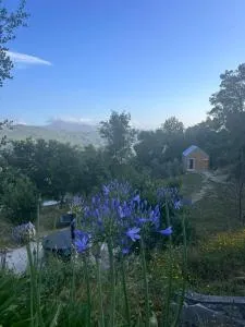 Monkey Tiny Barnhouse with amazing views! - Sandomil