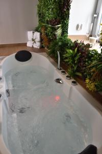 Maisons de vacances La Pommeraie - Balneo- Queen Size- Canal- Parking : photos des chambres