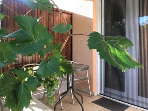 Double room with bathroom, beach close, kitchen use