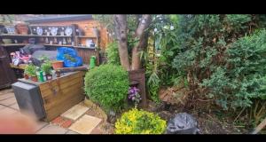 Quirky Victorian three bedroom house