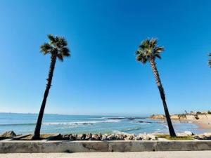 GATU La Murallita en Puerto Sherry